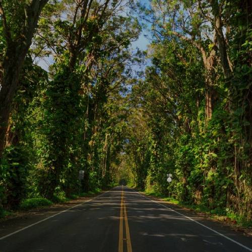 تکست نمیده بگه دوست دارم قد ۹ تا سیاره کی دورت میگرده